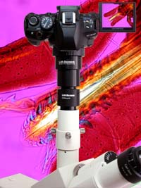 focusable microscopeadapter